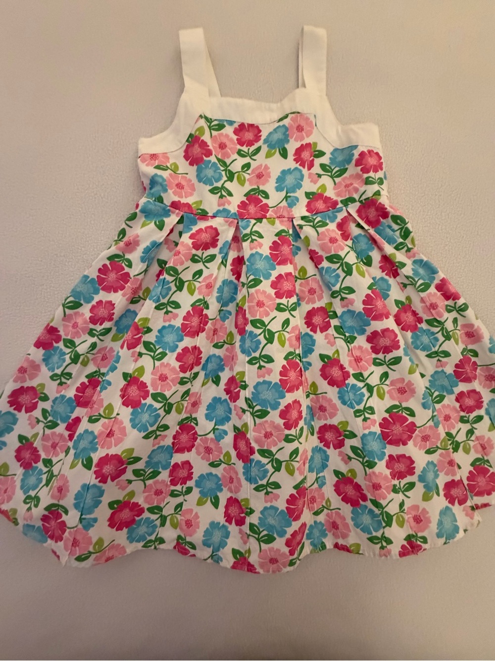 Gymboree Floral Fit & Flare Dress